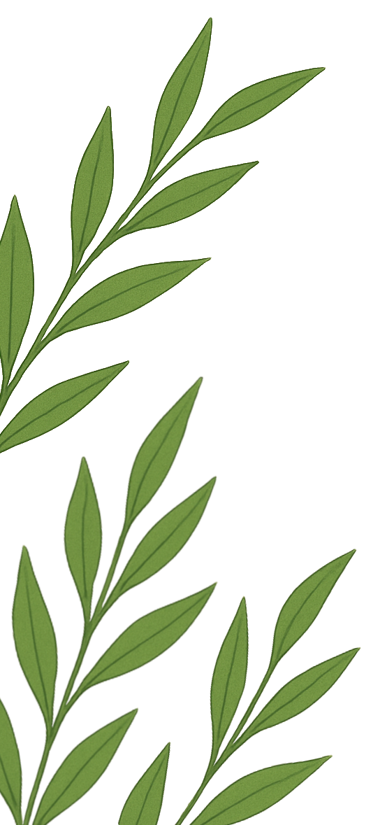 Floral decoration